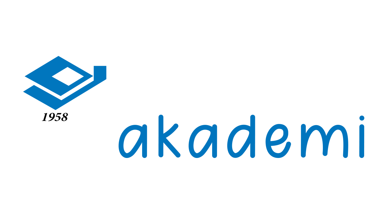 GÜRİŞ Akademi